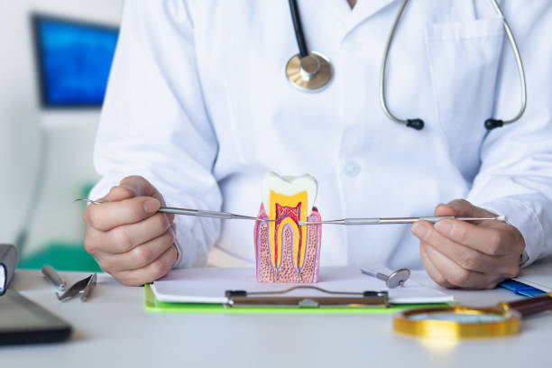 Best Cracked Tooth Emergency Dentist  in Corry, PA